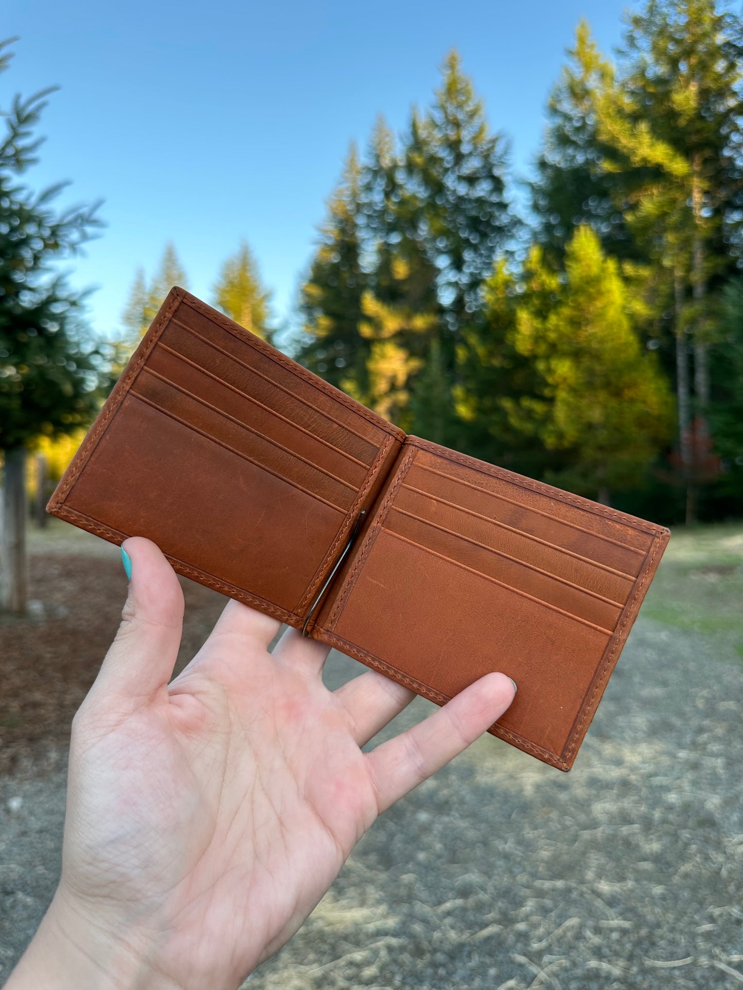 Winsome Wallet